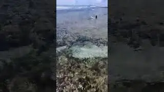 Catch waves, not feelings