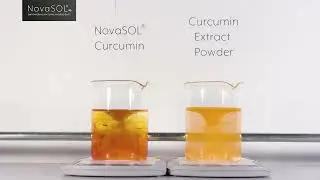 novasol curcumin dissolution