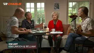 En trekant en sang: Om Lidt