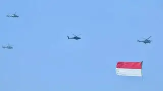 Fighter Helicopter EC-725 Caracal AH-64 Apache AS-565 Mbe Panther & AW-169 #huttni80 #tni #tniau