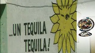 Mexico&rsquo;s Tequila Industry Hits Troubled Times (2001)