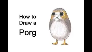 How to Draw a Porg from Star Wars The Last Jedi
