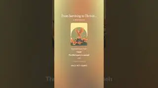 From Surviving to Thriving