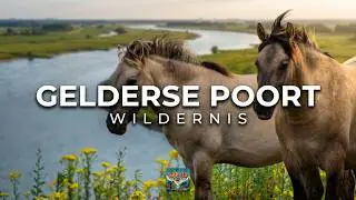 Gelderse Poort