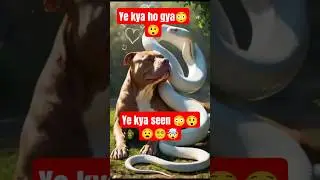kamal video He #shortvideo #magical #magicanimals