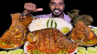 Eating Spicy Whole Fish Curry with Chicken Curry | Rice Chilli & Salad Mukbang | Eating Challenge 