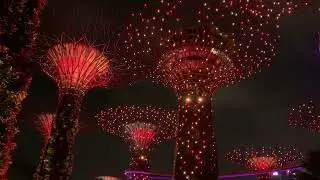 Bright and beautiful Supertrees at Night