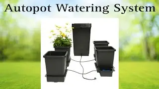 Autopot Gravity Fed Watering System