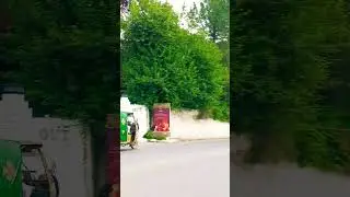 Sarena Hotel Mingora swat