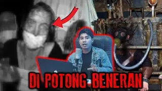 AKHIRNYA SQUID GAME ADA DI DUNIA NYATA... BAYAR MAHAL PERMAINAN MENYAKITl DIRI SENDIRI