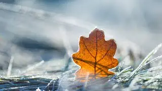 3-Tage-Wetter: Wetterwechsel! Polarluft kommt - mit Schnee?