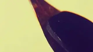 Vintage Waterman&rsquo;s 13 Nib