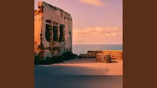 NMNS