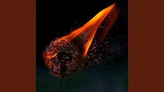 Gone