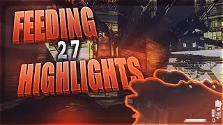 Maaws Quest!? (Feeding Highlights 27)