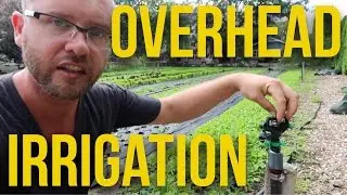 Effortless Farming with Overhead Irrigation: Watch How We Do It!