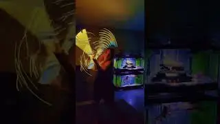 trippy light whip dancing #dance #flowarts #lightwhip #whipit