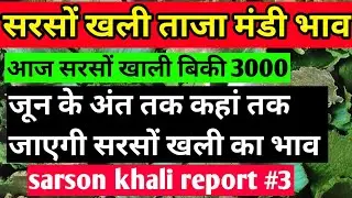 sarson khali report #3 | सरसों खली का ताजा मंडी भाव | जून के अंत तक कहां तक जाएगी सरसों खली का भाव