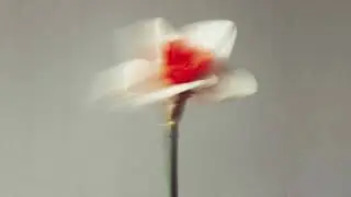 loversong//瀑布的那端