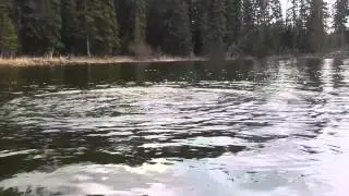 Fast Early-Season Fishing at Tunkwa Lake