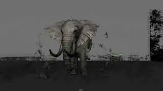 ELEPHANT WALK CYCLE #animation #maya #3danimation  