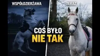 Co poszło nie tak we współdzierżawie | Decyzja, która musiała zostać podjęta.