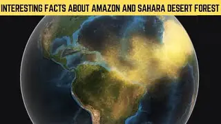 Did you know? | Interesting Facts About | Amazon and Sahara Desert |Forest #facts #shorts #amazon