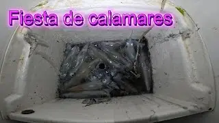 Festival de CALAMARES