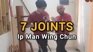 COMBAT VING TSUN - BEDAH WING CHUN #4 - 7 SENDI IP MAN WING CHUN