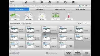 Pre purchase inspection Toyota Prius hybrid battery health inspection by Incar Automotive 