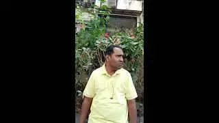 Anand Sonar is live
