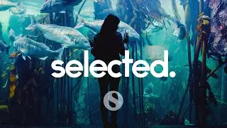 Flume - Anthem For The Reef (Edit)