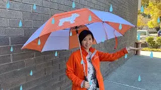 6 Simple Home Maintenance Tips For Rainy Season