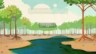 Site Selection