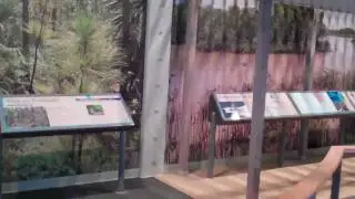 Eco-Discovery Center ::  