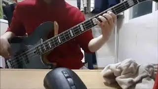 sire v9 ash sound review 리뷰