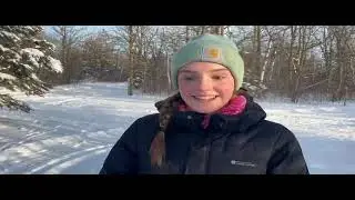 Chickadees in Birds Hill Park, Manitoba, 23 December 2025