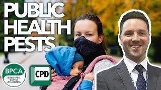 Identifying pests of public health significance