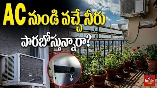 AC నుండి వచ్చే నీరు పారబోస్తున్నారా? | Stop Wasting AC Water! | #hmtvagri