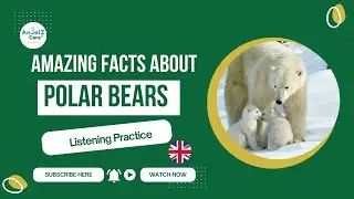 🐾 A1-A2 English Listening Practice &ndash; Amazing Facts About Polar Bears  ESL Animal Listening
