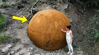 Woman Finds Mysterious Ball in the Woods, Experts Turn Pale When They Realize What It Is
