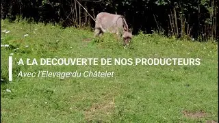 Élevage du Châtelet - Bazouges-la-Pérouse
