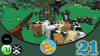ATM3 EP21 BYE BYE COWS w/ Gnashrakh and Oblyx