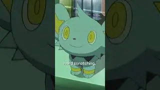 Caring For Your Pet Shinx #pokemon #shinx #pets