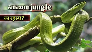 Amazon rainforest fire | अमेज़न का जंगल | the adventure navin