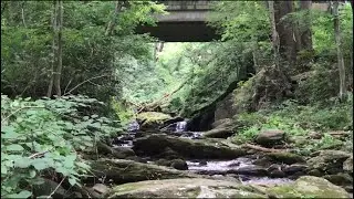 Mill Creek Falls