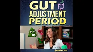 The Gut Adjustment Period