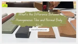 What's the Difference Between Homogeneous Tiles and Normal Body Tiles?