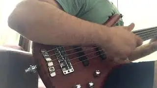 Warwick Corvette Bubinga