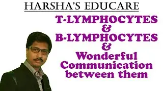 T LYMPHOCYTES & B LYMPHOCYTES  | NEET BIO | HP SIR | ANTIBODY | PLASMA CELL | T HELPER | CD4+,CD8+